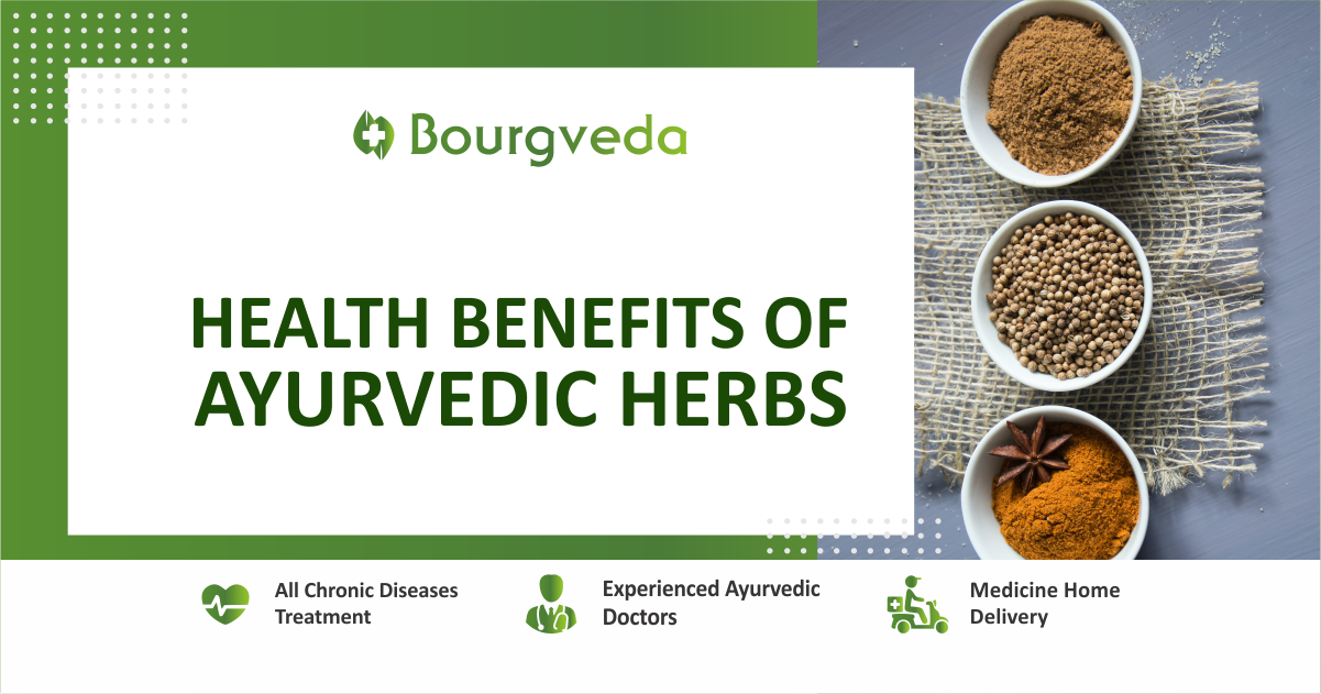 Ayurvedic Herbs And Their Health Benefits – Bourgveda