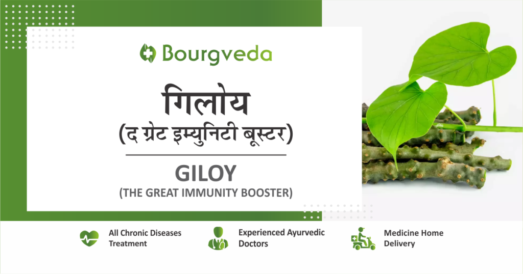 Giloy - The Ultimate Immunity Booster